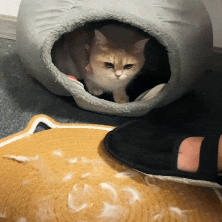 Pelumi™-Guante Quita Pelos Multi Superficie