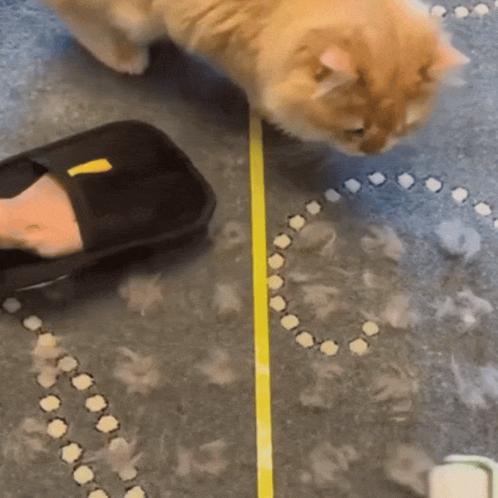 Pelumi™-Guante Quita Pelos Multi Superficie